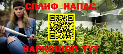 ГАЛЛЮЦИНОГЕННЫЕ ГРИБЫ Кулебаки